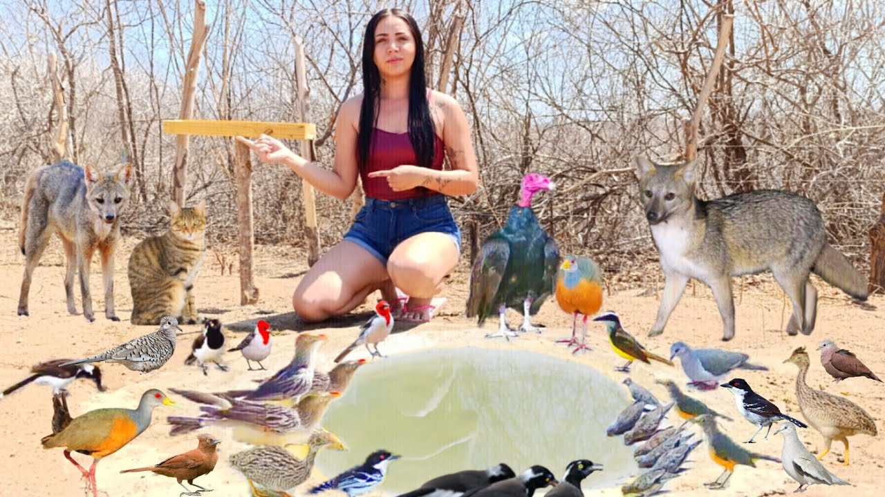 ESSA UNICA FONTE ESTÁ MATANDO A SEDE DE TODOS OS ANIMAIS DA MATA😱🔥🌿