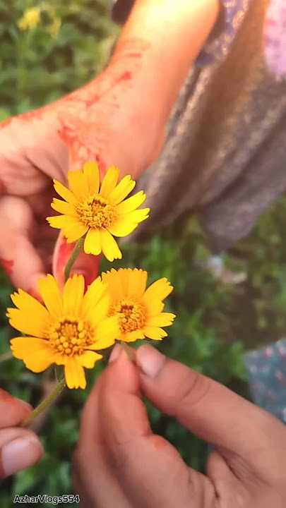 Sis I❤️U 😘.. #love #bangladesh #nature #morning #bd #sister #morningwalk #flowers #narayangan #sorts