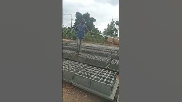 Curing Hollow Blocks#construction#curing#block#hollow