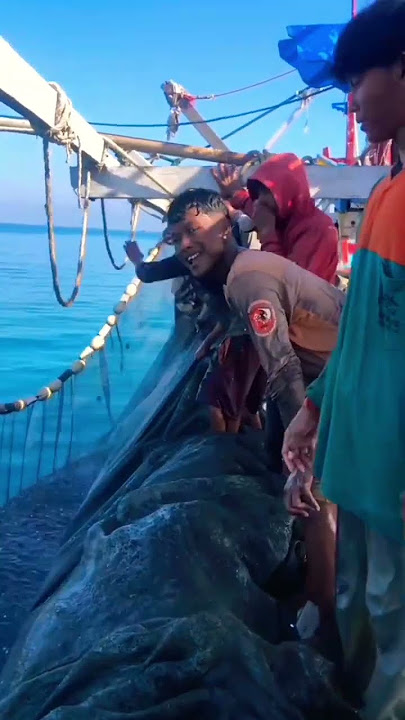 Kapal jaring bolga dapat teri melimpah
