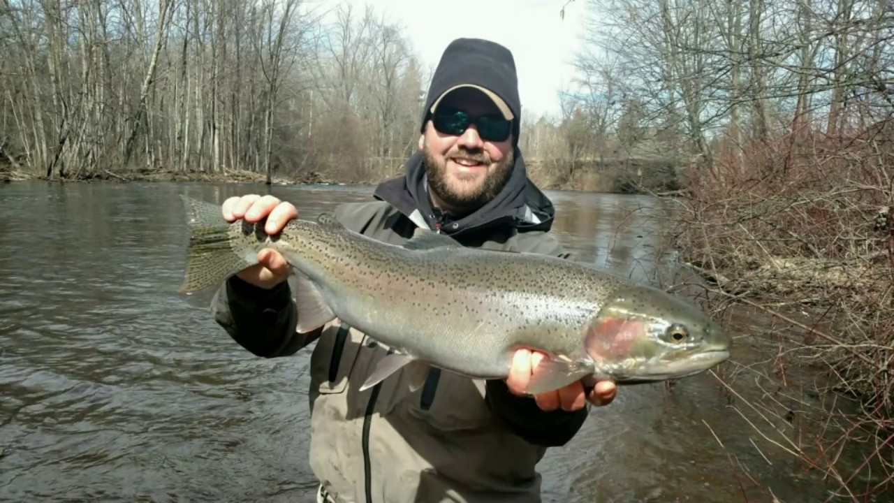Steelhead Fishing In Michigan - YouTube