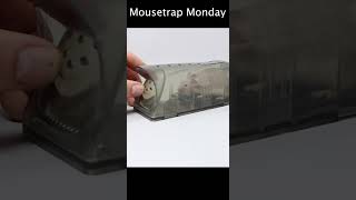 The RAMORE Mouse Trap. Mousetrap Monday.