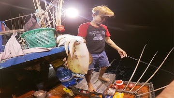 CÂU MỰC CÔN ĐẢO - Chuyến Câu Mực Lớn P10 |Câu Mực Biển Tây #58