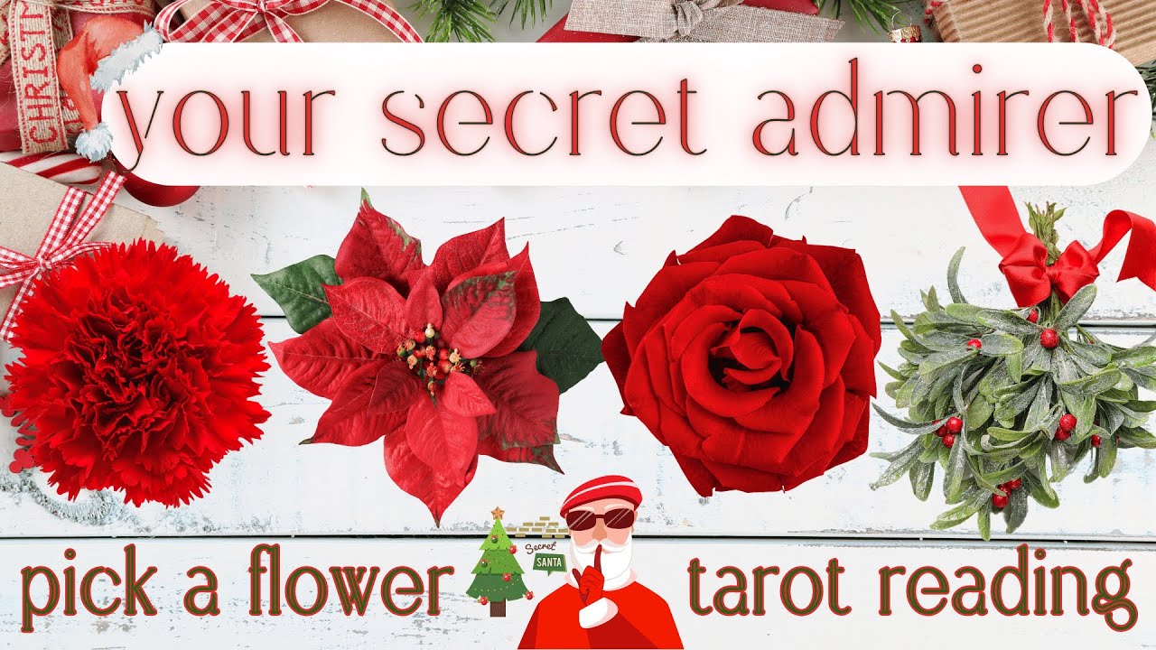 Who Has A Secret Crush On You? Their Next Move? What's Next?🌹| Pick A Card Tarot Reading For Love