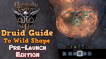 The Druid Guide to Shapeshifting and Wild Shape - Baldur