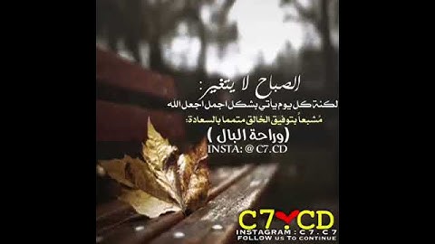 استوريات انستا حالات واتس اب قران كريم /الصباح لايتغير لكنه كل يوم يأتي بشكل اجمل