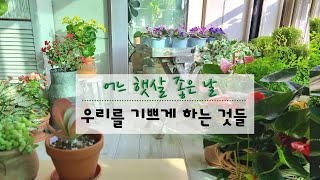 SUB) 어느 식물 집사의 하루 / 공감 가는 식물 이야기 / 식물 키우기, 우리를 기쁘게 하는 것들 /  릴리언의 정원 책 리뷰