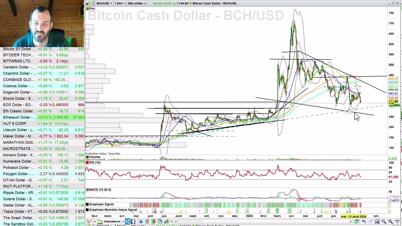 Le Bitcoin est mort | 5 Cryptos sortent du lot