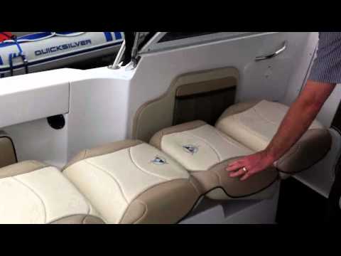 Campion 542 -