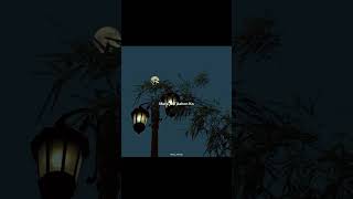 Ajj Din Chadheya || aesthetic video || lyrics status || #hearttouching #love #vialshorts #ytviral