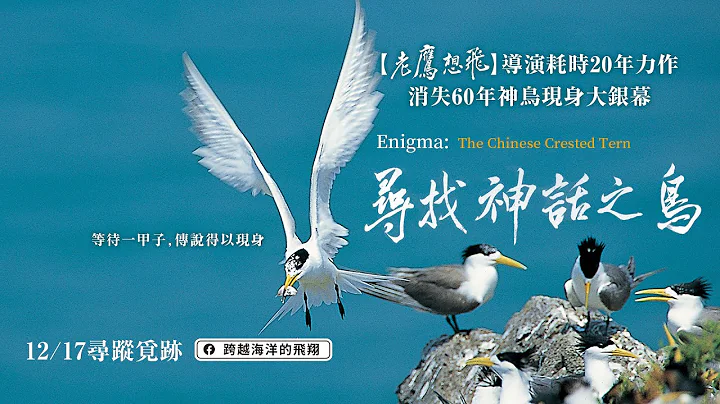 12/17【尋找神話之鳥】台灣官方源起篇預告︱【老鷹想飛】導演耗時20年動人力作，消失60年神話之鳥現身大銀幕！ - 天天要聞