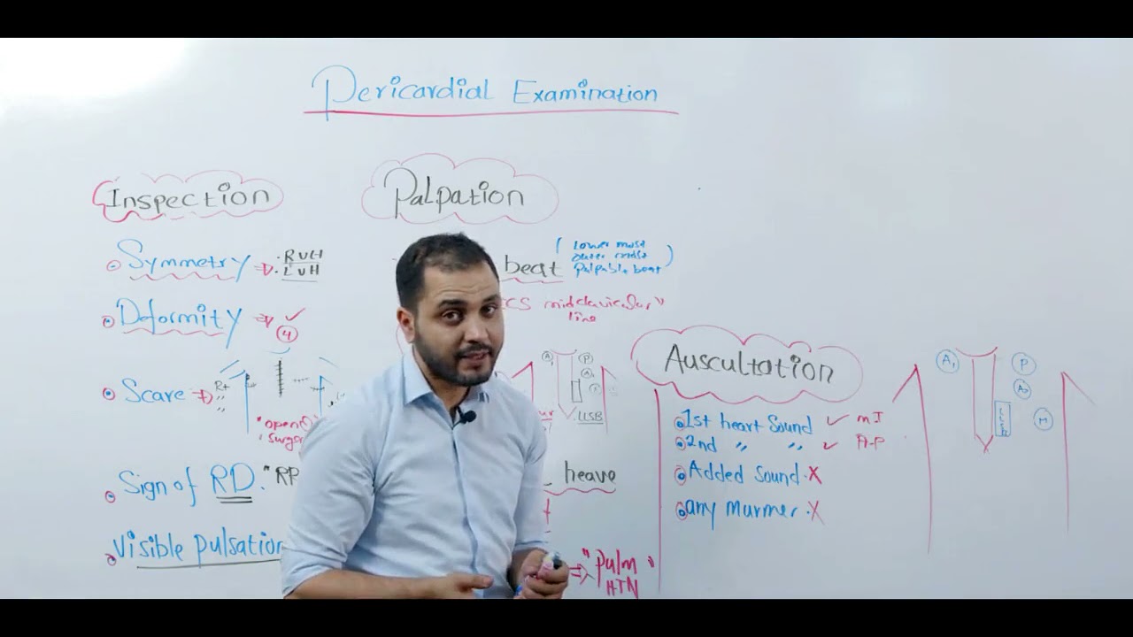 Precordial examination lecture 2
