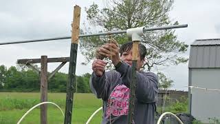 Building a Tomato trellis