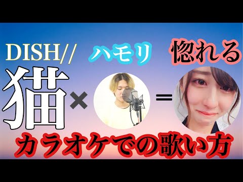 ３人に１人が惚れる歌『DISH//(北村匠海) - 猫』
