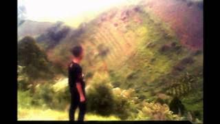 romy & jahas goyang bison