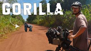 J'ai failli percuter un gorille sauvage en faisant du vélo dans la jungle du Congo 🇨🇬