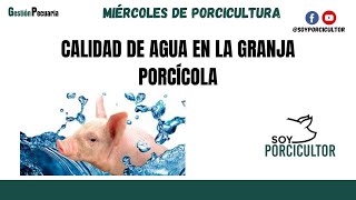 🐽 Calidad de agua en la granja Porcícola