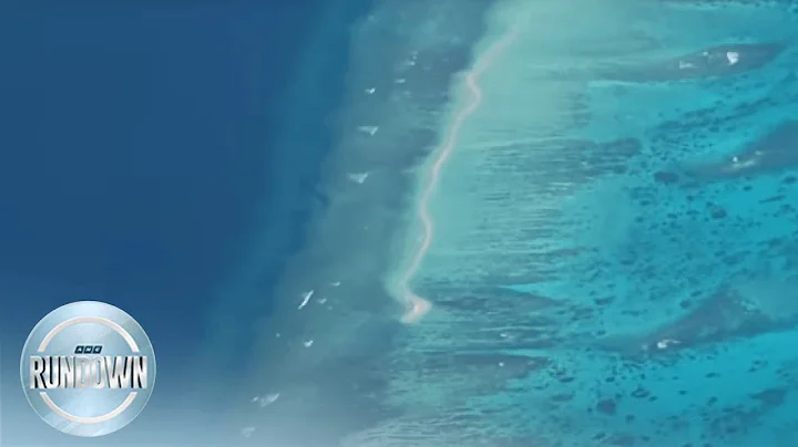 Rundown (7AM) | ANC (29 August 2023)