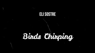 Eli Sostre - Birds Chirping