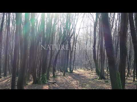 'Nature Sings' - Poetic Nature Documentary by Amelia James