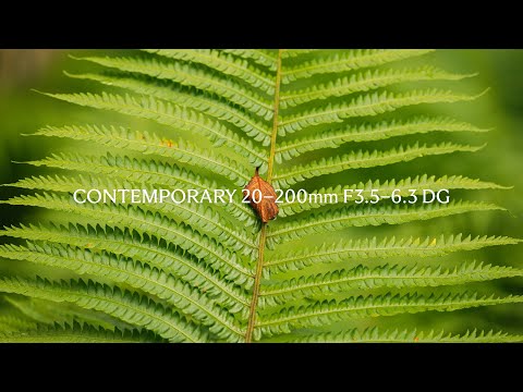 Wandering in the Green Wonderland: Sigma 20-200mm F3.5-6.3 DG | Contemporary Lens