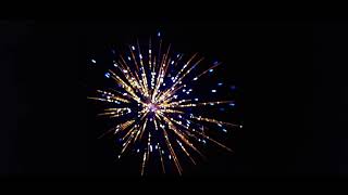 Pyro demon willow cans proline