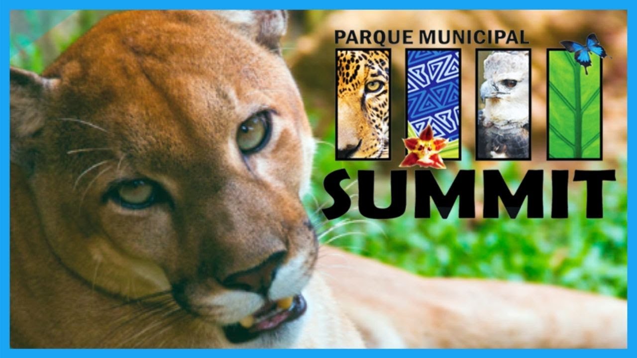 RECORRIENDO EL PARQUE SUMMIT EN PANAM Rescate De Animales recorriendo-el-parque-summit-en-panam-rescate-de-animales