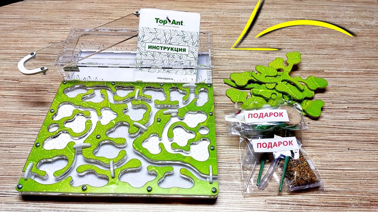 МОЙ ПЕРВЫЙ ФОРМИКАРИЙ - Муравьиная ферма Top ant