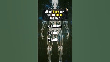 Ultimate Anatomy Quiz Part 1. #science #anatomyquiz #anatomy