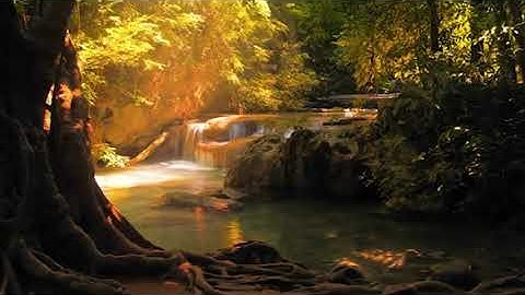 تلاوة من سورة هود من آية ٦١ إلى نهاية السورة