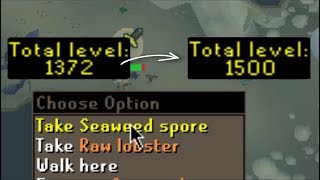 BIG JUMP (HCIM) (#8) @ZuluOnly