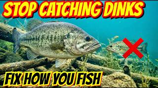 Download Lagu Waarom je geen grote baarzen vangt - 3 oplossingen die snel werken MP3