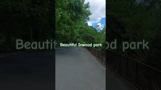 A Walk In The Inwood Park
