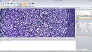 Counting with Image Pro Premier 9.02 64bit