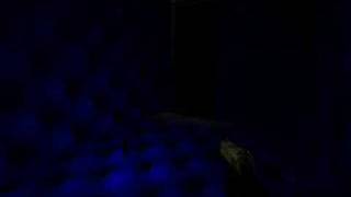 Glow Sticks ( GM10 )