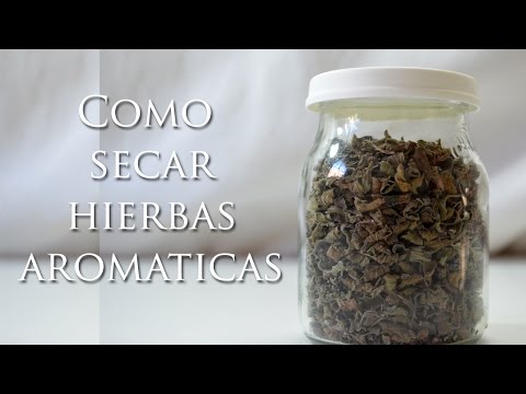 Vídeo: Com Assecar La Ploma