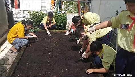 Bài ca học sinh Phan Tây Hồ