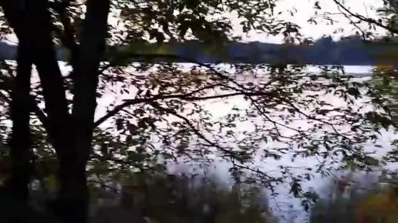 Gervais Lake YouTube