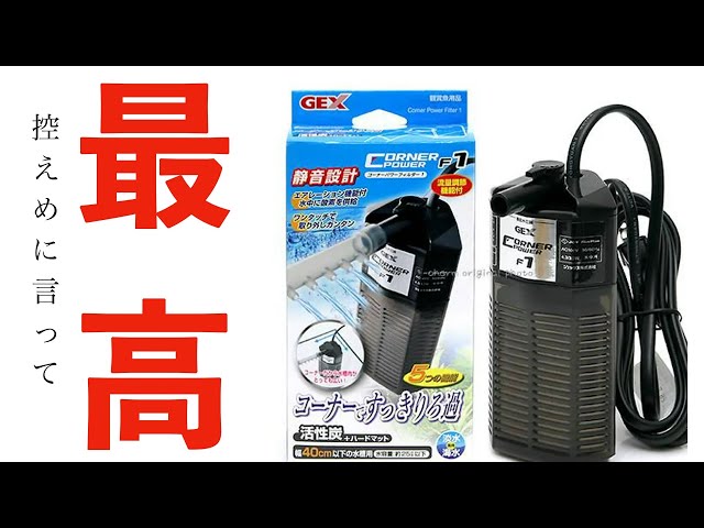 Great value for money, easy to use, and the best, to put it mildly