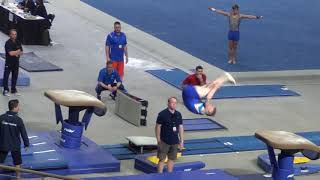 Colin Milson / 2017 Nationals Technical Sequence / Vault