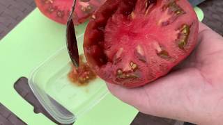 Томаты.Как собирать семена томатов.