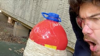 Rubber bands versus Tampico ￼