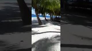 Download Lagu Langgas Island MP3