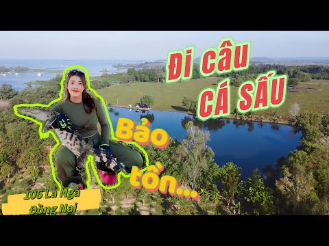 Tập 17 | Câu cá hồ bán thiên nhiên và bảo tồn con cá sấu | VY HAN FISHING