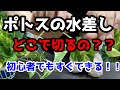 【ポトス】水差しでの増やし方を解説！！切る場所・切り方はどうするのか？！！How to increase pothos？