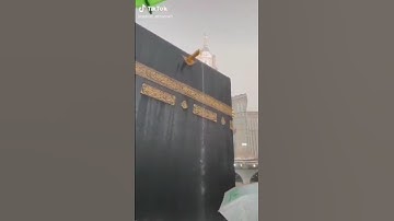 سورة المائدة ، الآية ٩٧