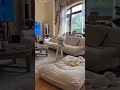 That cute puppy is so clever#funnydog #dogaivideo