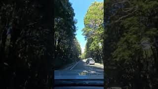 heading to St Arnaud #shortvideo