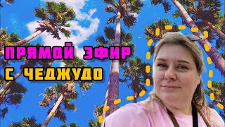 Новости канала, давно не виделись 😎 часть 1