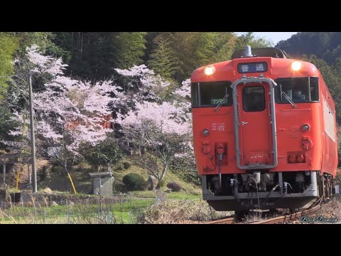キハ40　2045 山口線・山陰本線　レノファ山口ＦＣ仕様　Ｍ車 白色室内灯組込 Amazon | TOMIX キハ40 2045 山口線・山陰本線 レノファ山口FC